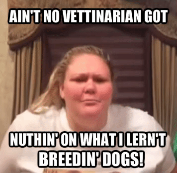 We all know that in spite of the fact that Vets stoler their spot in Vet School, breeders know more than they do.