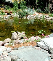 Liner ponds can look entirely natural, EPDM rubber liner is used. 