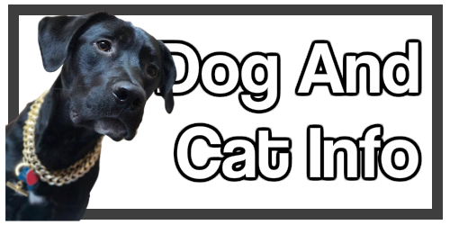 Dog and Cat Information of value to Dr Erik Johnson East Cobb Veterinarian Customers