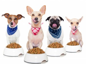 Home Cooking For Dogs