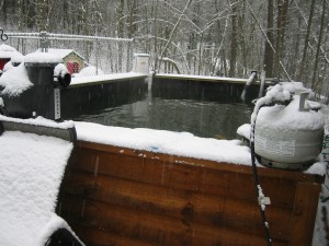 How To Winterize Your Koi and Pond Fish