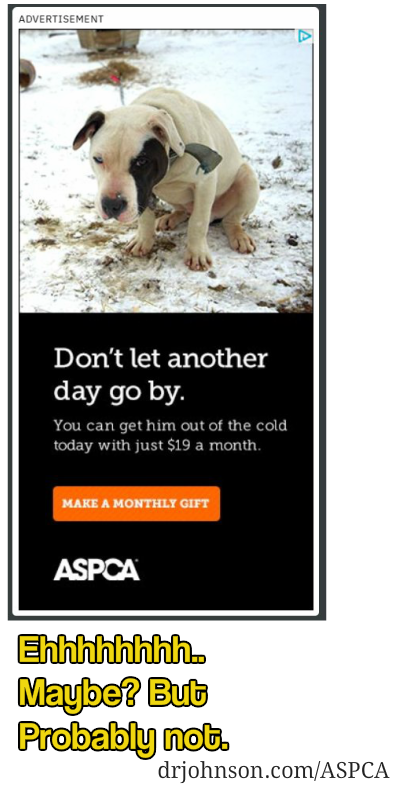 American Society for the Prevention of Cruelty to Animals ASPCA – Dr Erik  Johnson – Veterinarian