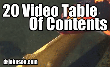 What Is In Each Video? Table of Contents: Twenty Koi Health Video Tutorial