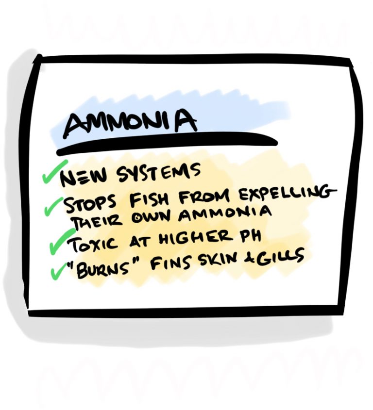 Ammonia Hidden Killer of Fish, First Step in the Cycle Symptoms and