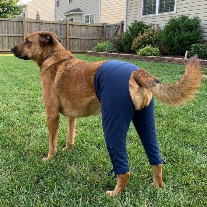 Brace Cover photo conveys the "general idea" but is inaccurate because prototype would be snug, have laces or velcro bands to tighten it, and would be made of neoprene diver's suit material.