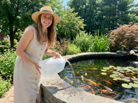 What is the active ingredient in Terminate by AquaMED?